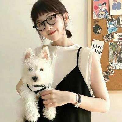 猎狐